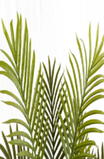 ZA Evergreen Areca Artificial tree 160cm - Image 2