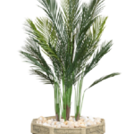 Chamadoria elegance  Artificial tree 150cm
