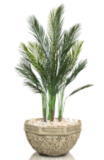Chamadoria elegance  Artificial tree 150cm