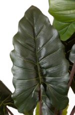 Alocasia DR Artificial tree 160-170 cm - Image 2