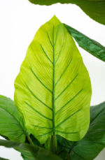 Alocasia Artificial tree 190-200 cm - Image 2