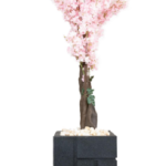Apricot 180cm