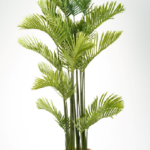 Greenie Areca Artificial tree 180cm