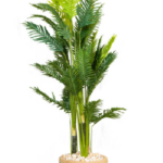 Puerto Rico Areca Artificial Tree 250 cm