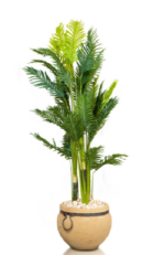 Puerto Rico Areca Artificial Tree 250 cm