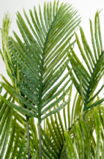 Greenie Areca Artificial tree 180cm - Image 2