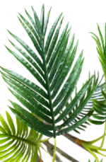 Palmly Areca Artificial Tree 180cm - Image 2