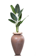 Augusta Artificial Tree 160 cm