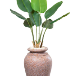 Travie Augusta  Artificial Tree 170 cm