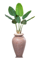 Travie Augusta  Artificial Tree 170 cm