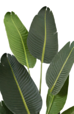 Augusta Artificial Tree 160 cm - Image 2