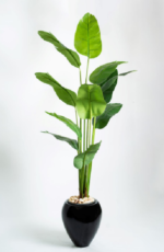 Royal Banana  Artificial Tree 200cm