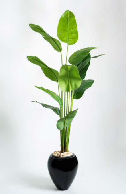 Banana Royal Banana Artificial Tree 200cm - Image 1