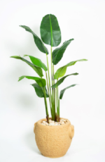 Royal Banana Artificial Tree 200 cm
