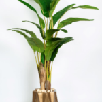 Tropic Banana Artificial Tree 180cm