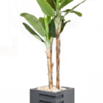 Tropical Banana Artificial Tree 200cm