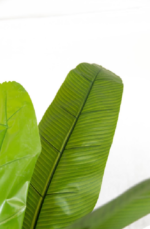 Tropical Banana Artificial Tree 200cm - Image 2
