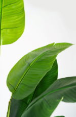 Royal Banana  Artificial Tree 200cm - Image 2