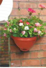 German design hang shrubs pot - Image 3