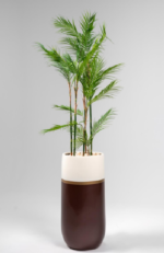 GRP Palmly Chamadorea Artificial tree 180cm