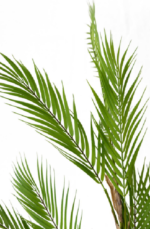 Miro Palmly Chamadorea Artificial tree 160 cm - Image 2