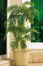 Cleopatra Tree Pot