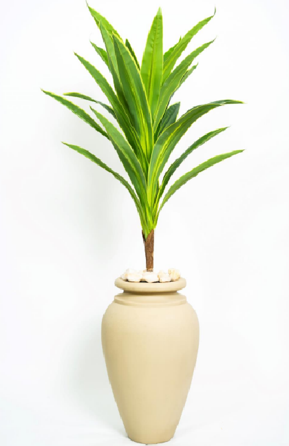 Corn Tree Corn Tree - Image 1