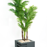 Areca Artificial Tree 180cm BL50