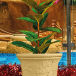 Dalia  Tree Pot