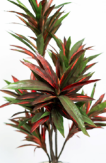 Corydaline Cordy  Artificial Tree 150cm - Image 2