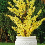 Flora Tree Pot