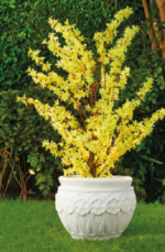 Flora Tree Pot