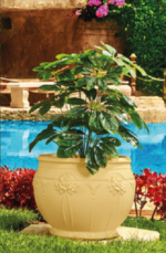 Gardenia Tree Pot