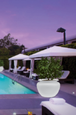 Gorda illuminata Lighting tree pot