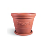 Grand Regina Tree Pot