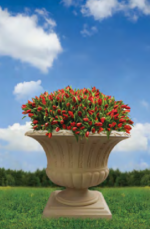 Grando tree pot - Image 2
