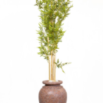 Green Bamboo tree