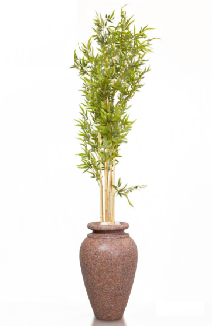 Green Bambo tree Green Bamboo tree - Image 1