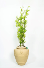 Green Bamboo tree