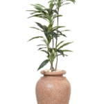 Dragon Dracaena  Artificial Trees 160-170 cm