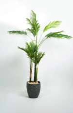 GO Madgashker Areca  Artificial Tree 250 cm