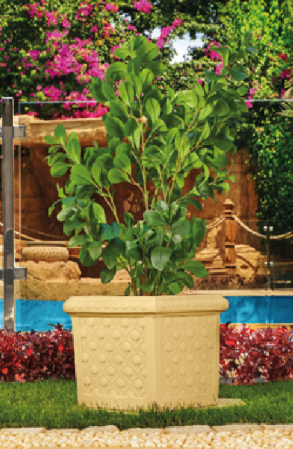 Jasmin Jasmin square tree planter - Image 1
