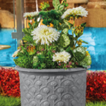 Jasmin circular tree pot