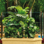 Jasmin tree planter