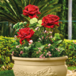Julia tree planter
