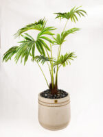 Kato GRC Tree pot - Image 9