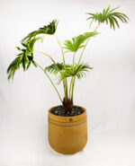 Kato GRC Tree pot - Image 7