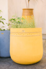Kato GRC Tree pot