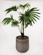 Kato GRC Tree pot - Image 11