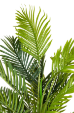 Kenya Areca 180 cm - Image 2